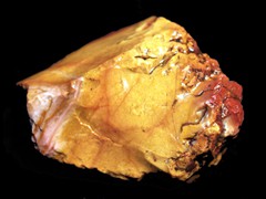 k1659