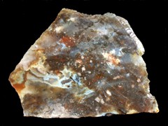 k1666