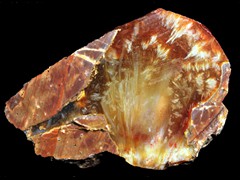 k1791