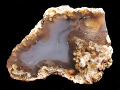 k1801