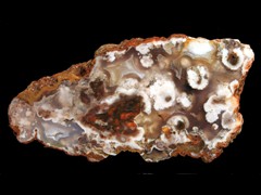 k1817