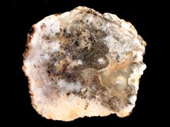 k1818