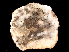 k1819