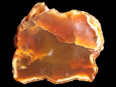 k1821