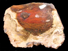 k1825