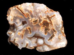 k1828