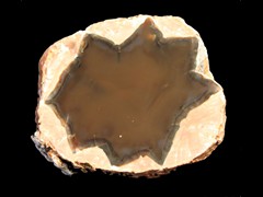 k1868