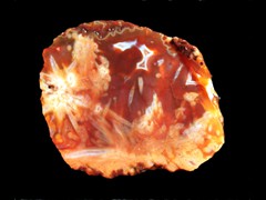 k1916