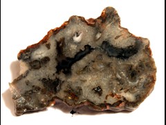 k1932