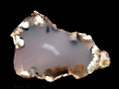 k1946