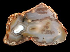 k1956