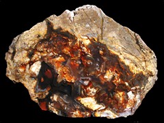 k2074
