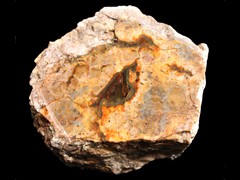 k2086