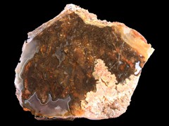 k2124