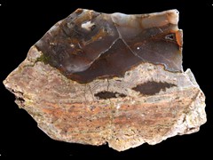 k2126