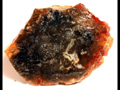 k2149