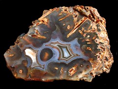 k2163