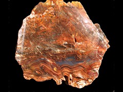 k2166