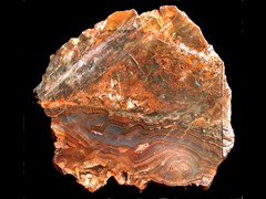 k2167