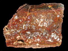 k2172