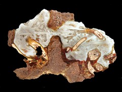 k2195