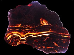 k2196