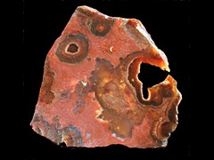 k2199