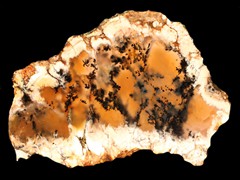 k2269_1 (2)