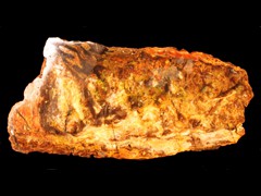 k2304
