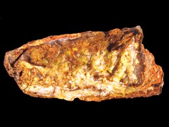 k2305