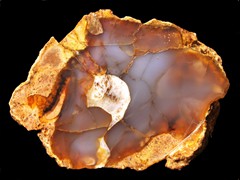 k2313