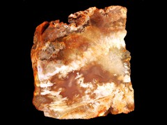 k2316