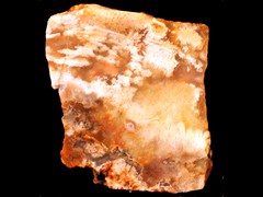 k2317