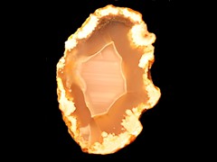 k2338