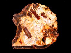 k2342