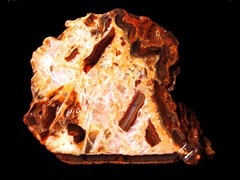 k2343