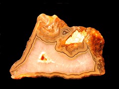 k2344