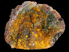 k2490