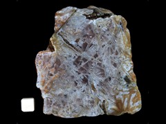 k2548