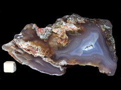 k2553