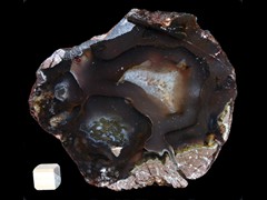 k2562
