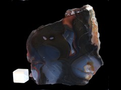 k2598