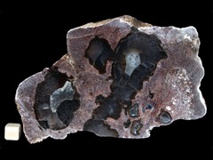 k2617