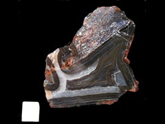 k2638
