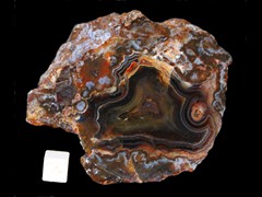 k2641