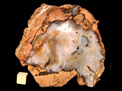 k2684