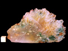 k2686