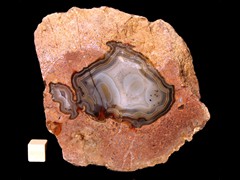k2699