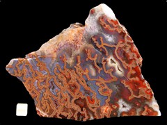 k2768