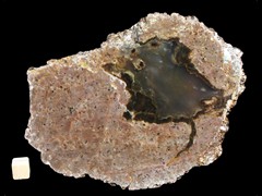 k2781